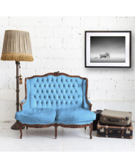 Elefante y cebra en el Parque Nacional de Etosha, Namibia