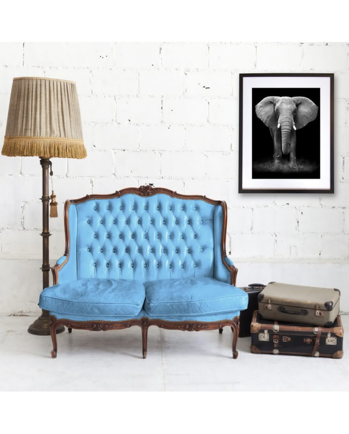 Elefante en la reserva de Gondwana, SudÁfrica