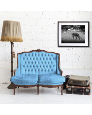 Cheetah, Parque Nacional Masai Mara, Tanzania