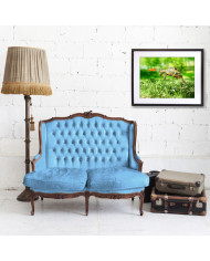 Salto de toruga para coger su frisbee