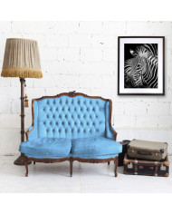 Retrato de una cebra, Parque Nacional Serengueti, Tanzania