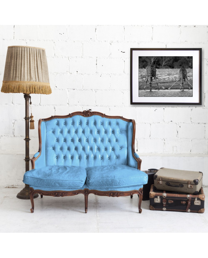 Jirafas bebiendo, Kruger National Park, Sudáfrica