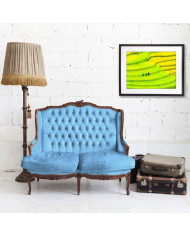 Prados cultivados, China