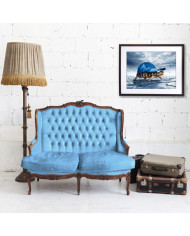 Tortuga bajo la lluvia