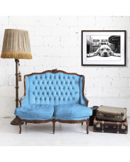 Pit bull terrier americano